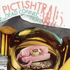 Pictish Trail - 'Dead Connection'