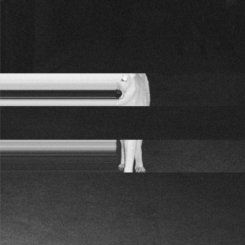 Stream Night Riders Via Crucis By Pv Listen Online For Free On Soundcloud