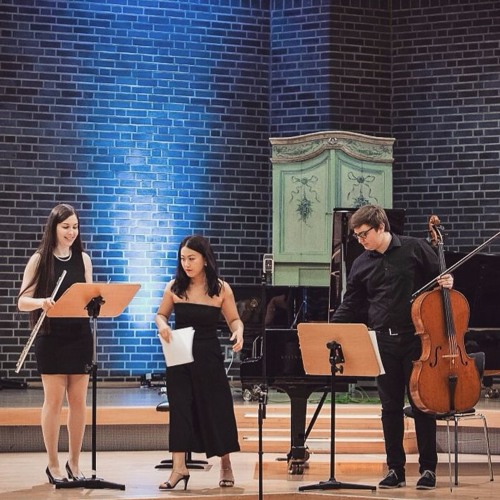 Stream Haydn - Trio in D-major for flute, cello and piano 1st mov. by  Klarissima Flute | Listen online for free on SoundCloud