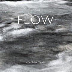 FLOW_03