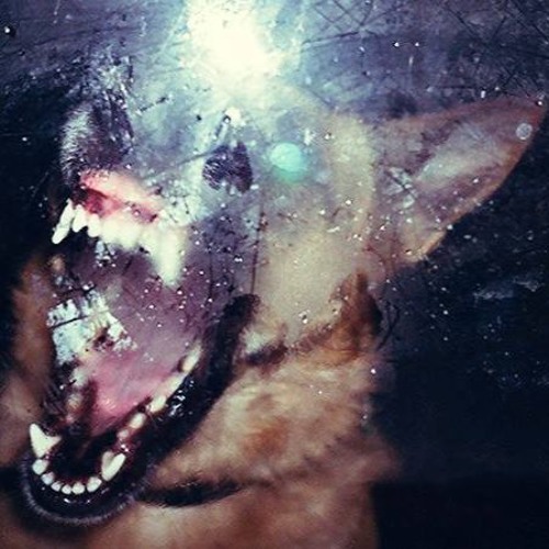 My Dawg
