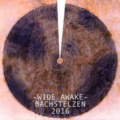 WIDE AWAKE *live // Bachstelzen (Фузион 2016)