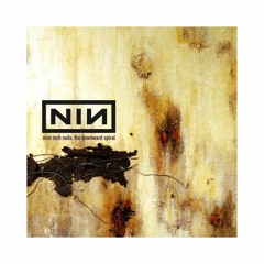 Nine Inch Nails - Hurt (SS28 Cover)