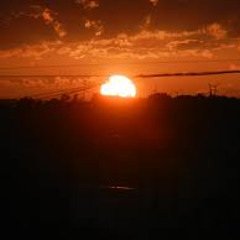 12 Beautiful Parasite