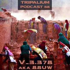 Tripalium Podcast 38 - V_3.378 aka 88uw