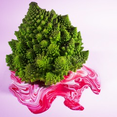 Jug Bundish - PrismaViolento