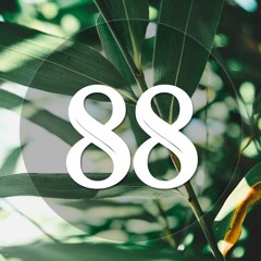 Sunday Chillday #88