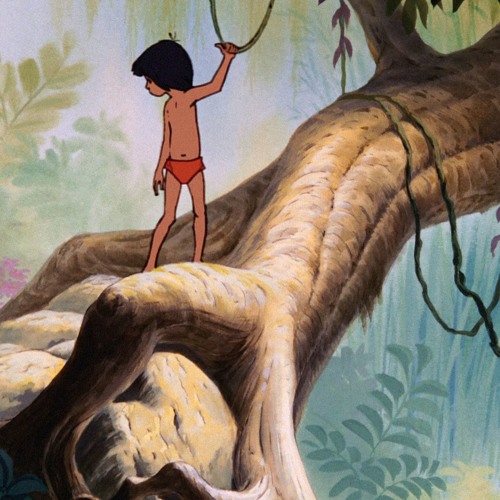 Jungle Dash