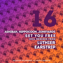 DR016 - Ashibah, Hippocoon, Junkyards - Set You Free (Original Mix)
