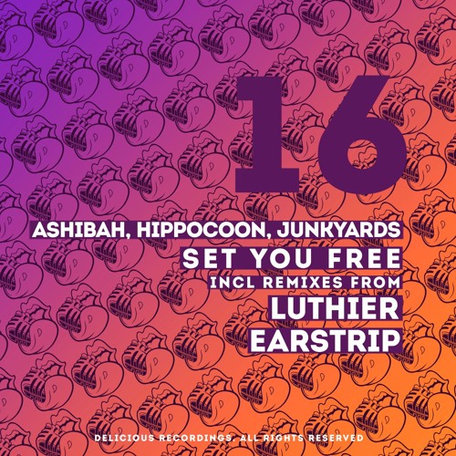 DR016 - Ashibah, Hippocoon, Junkyards - Set You Free (Original Mix)