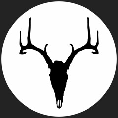 Dan F - Multistory - 04 - You Weirdo
