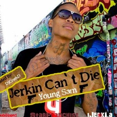 Young Sam - She Likes Me (Jerkin Song)