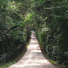 To the Quiet Courtyard (Piano Improv #2)