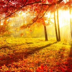 Seasons-Autumn (Live @ Eastman)