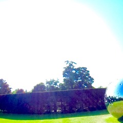 sunshine
