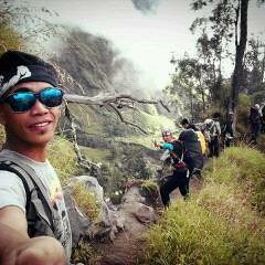 Pelih Petitis - Pelita Harapan