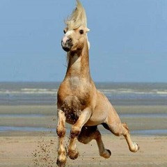 Here Be Horses