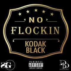 Blaze Im Flockin  ( Prod X Musical DNA)