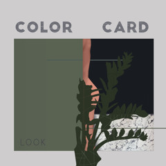 Color Card- Look
