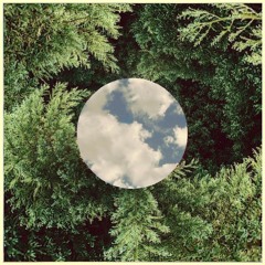 Dynamicali - Everyday