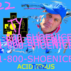 Acid Jesus - I Think Im Shoenice22 feat. T r e Z (Prod.GODLIKE1029)