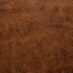 Like My Leather Feat. Marty Mard (Prod. by Escada)