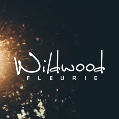 Fleurie || Wildwood || OurVinyl Sessions