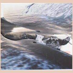 When The Shadows Are Long and There's A Blood Red Sky