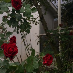 Davie Waves - Emotionless Thoughts (Prod. by Blu)