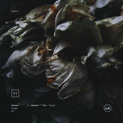 Handra Feat Tiiu - Forget