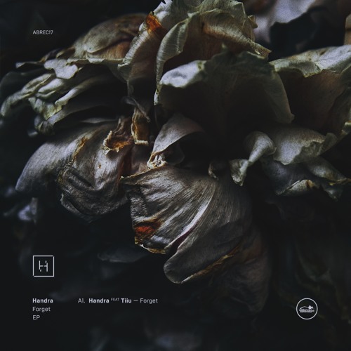 Handra Feat Tiiu - Forget