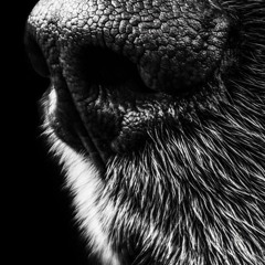 Deep&techno 2016 - 07 - 19