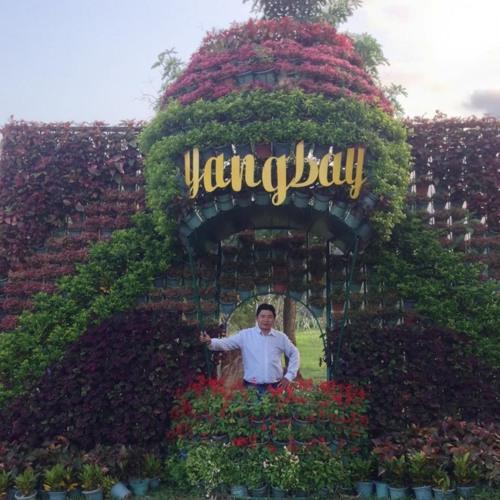 Copy of nhạc vàng văn rhichs