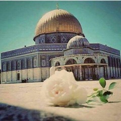 الـرَايـةُ البيــضاءْ 🏳✌