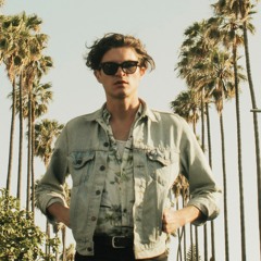 Palm Springsteen - She's Got Claws