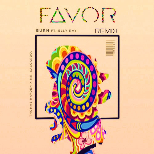 Thomas Hayden, Mr. Saccardo - Burn (Ft. Elly Ray) (FAVOR Remix) - REMIX COMPETITION