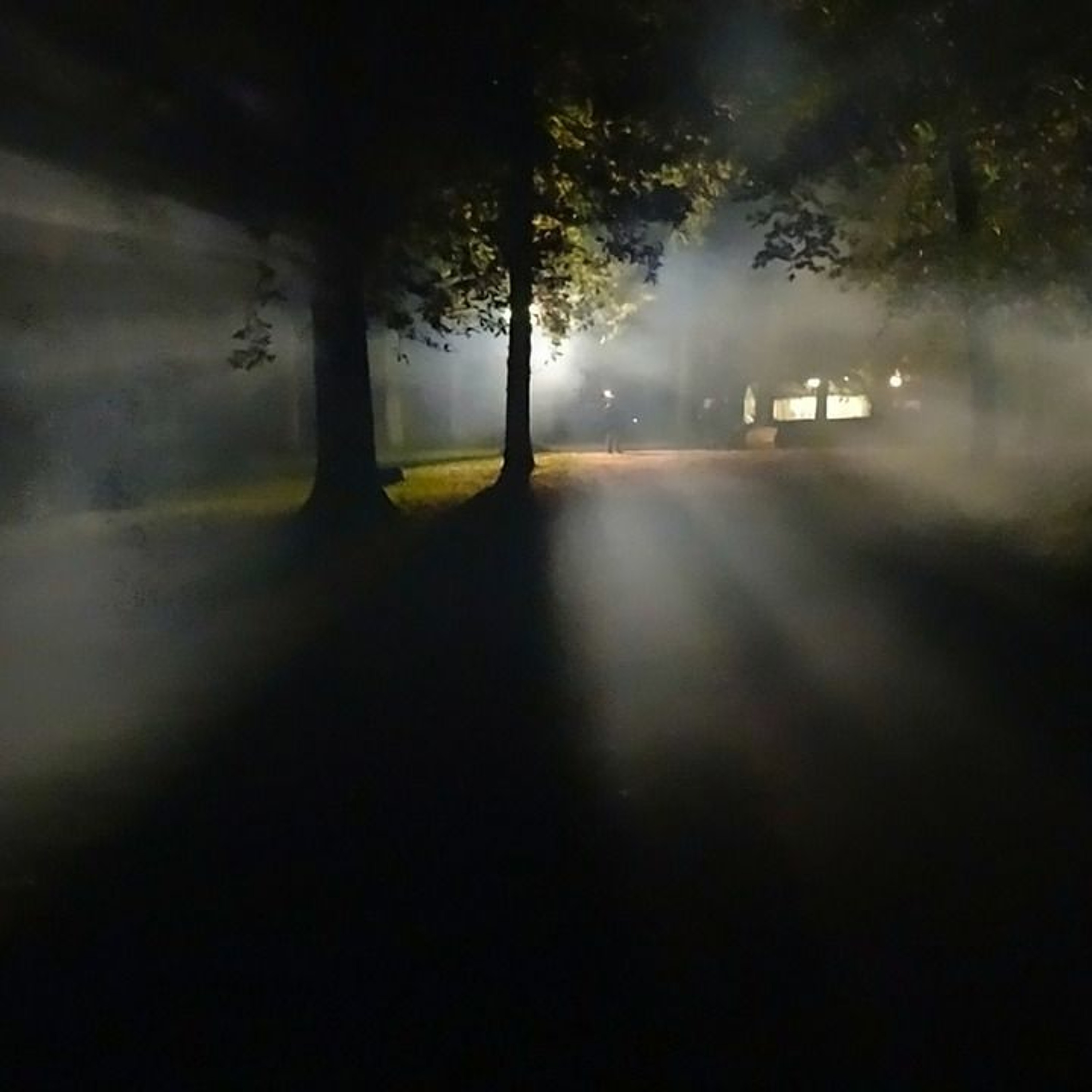 night bass