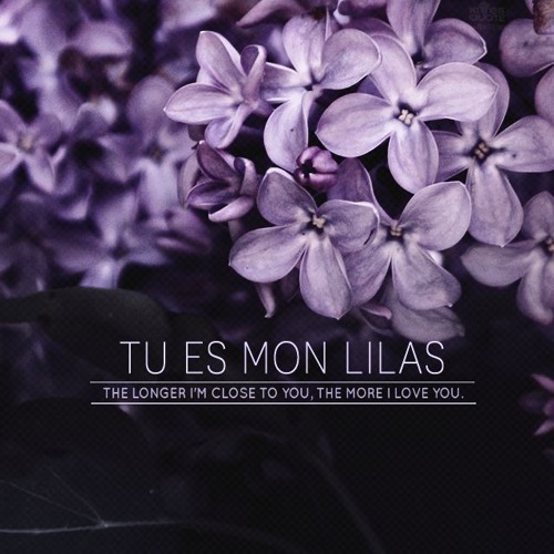 TU ES MON LILAS - Mastic x Kancc & FloD