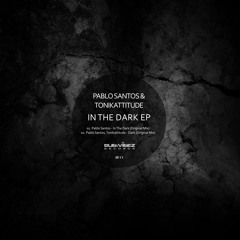 Pablo Santos - In The Dark (Original Mix)[Cut]