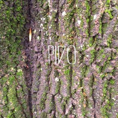 Pido