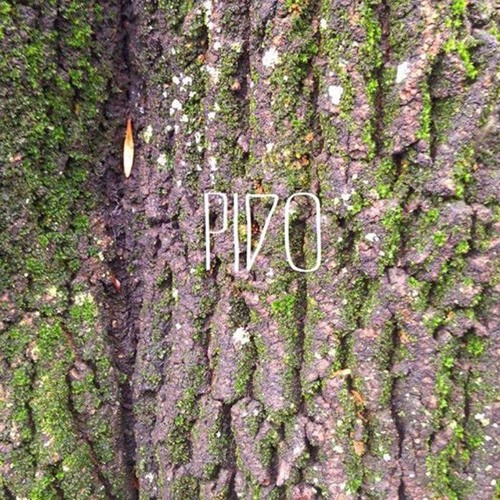 Pido