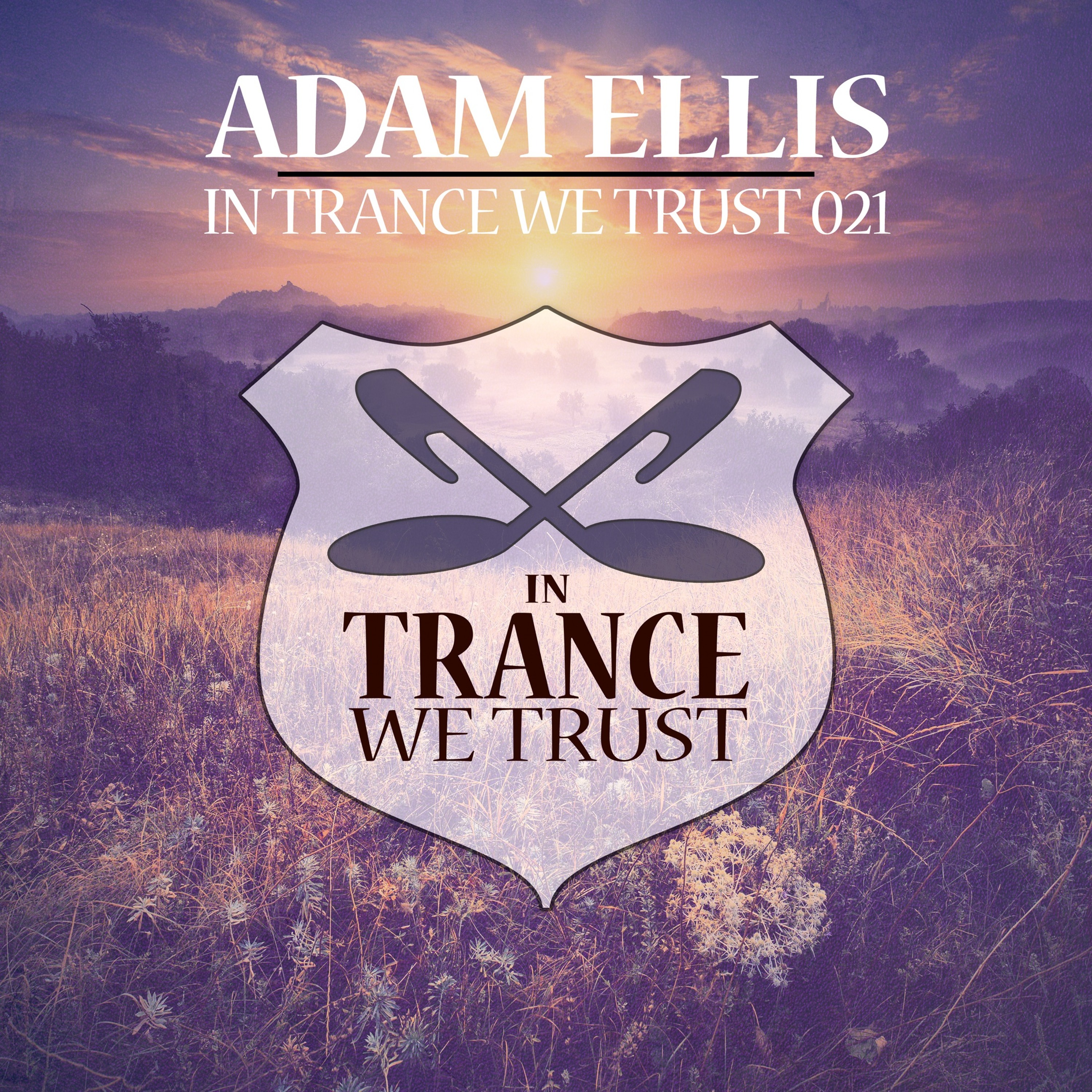 Allan Morrow - Desolation [In Trance We Trust CD 21 - Mixed By Adam Ellis] ***OUT NOW*** episode artwork