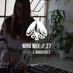 Stereofox Mini Mix://27 - Artist [j. roosevelt]