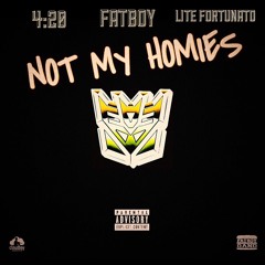 FATBOY SSE X 420 X LITE FORTUNATO - NOt MY HOMIES