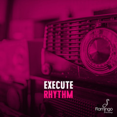 Execute - Rhythm [OUT NOW - Flamingo Recordings]