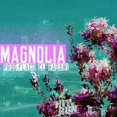 Magnolia(Instrumental) Prod. @Elradawi