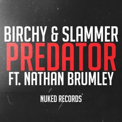 Birchy Demos