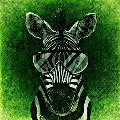 Funky Zebra (Comedy Soundtrack)