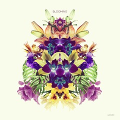 Konvex & The Shadow, Melokolektiv feat. Craig Walker - Blooming (Club Edit) Snippet