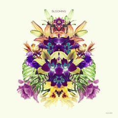 Konvex & The Shadow, Melokolektiv feat. Craig Walker - Blooming (Radio Edit) Snippet
